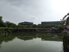 -嘉定紫藤园