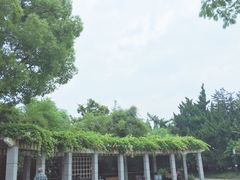 -兰溪青年公园