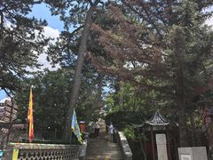 -妙峰山风景名胜区