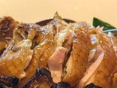-金鼎轩(鸟巢北辰荟店)
