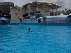 -杭州浪浪浪水公园