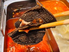 -海底捞火锅(亲贤北街店)