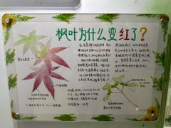 -上海昆虫博物馆