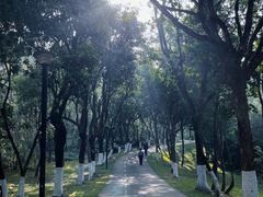 -燕晗山郊野公园
