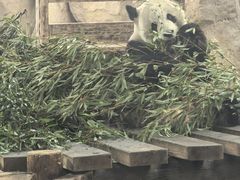 -无锡动物园·太湖欢乐园