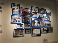 -斯坦星球AI编程·机器人科创·科学实验·信奥·思维·STEM·积木拼搭·竞赛考级(浦东联洋广场大拇指龙阳御桥中心)