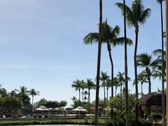 -亚龙湾希尔顿自助餐厅·海鲜·烧烤·沙滩BBQ·现场乐队