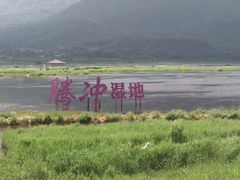 -腾冲北海湿地