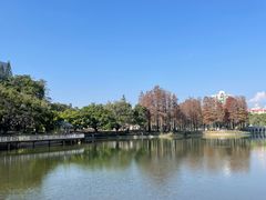 -四海公园(南山区)