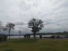 -深圳人才公园