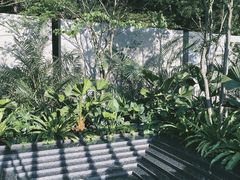 -深圳仙湖植物园