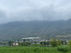 -啊马英豌豆粉