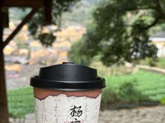 -杨家堂村