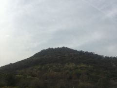 -八卦田遗址公园