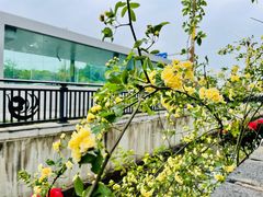 -回水镇·江湖川菜(恒大新城店)