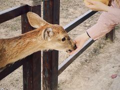 -良渚古城遗址公园