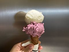 牛乳-Dip in Gelato(富民路店)