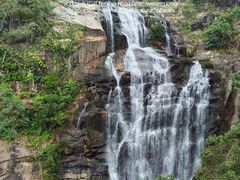 -海南热带雨林国家公园吊罗山景区