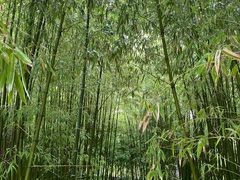 -泰山风景名胜区-普照寺