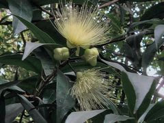 -荔湾湖公园