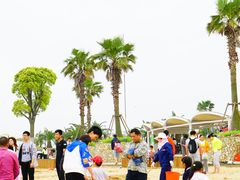 -碧海金沙