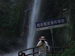 -莫里热带雨林景区