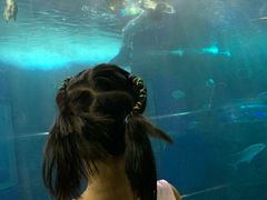 -太平洋海底世界