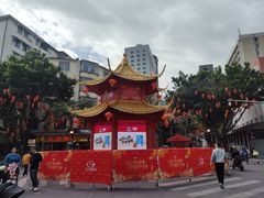 -越秀西湖花市(广州城市广场花卉店)