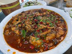 泰安鱼-龙翔山庄雷鸡肉(青城后山泰安古镇店)