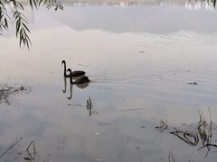 -长兴太湖图影湿地文化园
