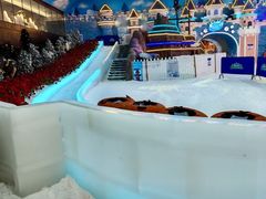 -世界之窗阿尔卑斯冰雪世界