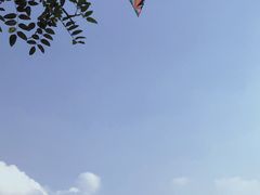 -中华世纪坛