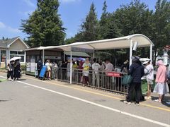 -日照海滨国家森林公园