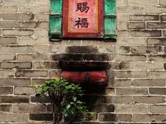 -碧江金楼