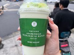 -茉酸奶(春熙路店)