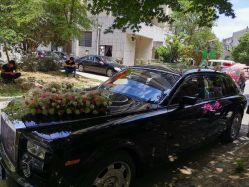 -蚂蚁婚车