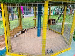 点击看大图 -萌宠亲子动物乐园(槐房万达店)