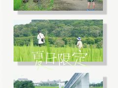 -艾米稻香小镇