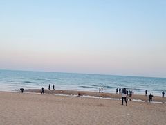 -日照海滨国家森林公园
