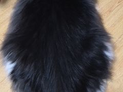 -纳吉亚猫专科动物医院博雅分院