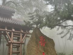 -鲁山国家森林公园