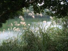 -鸳鸯湖景区