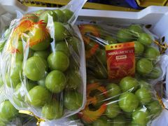 -马陆小张葡萄园农家乐