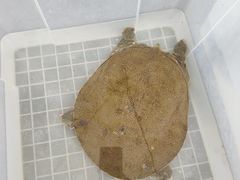 -太湖面馆十八浇(渔港路店)