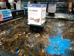 水产区-盒马鲜生(曜一城店)