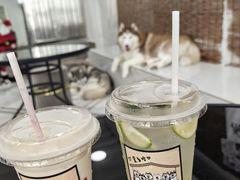 -星多哈·狗咖·拼豆·咖啡