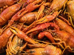 -虾小龙老长沙龙虾馆(坡子街店)