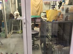 -达爱动物医院·犬猫分区·CT·复杂眼科(远洋山水分院)