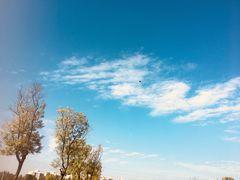 -白鹭湾湿地公园