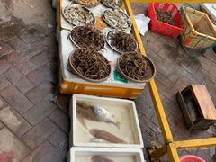 -大湾区中央湿地公园-十九涌